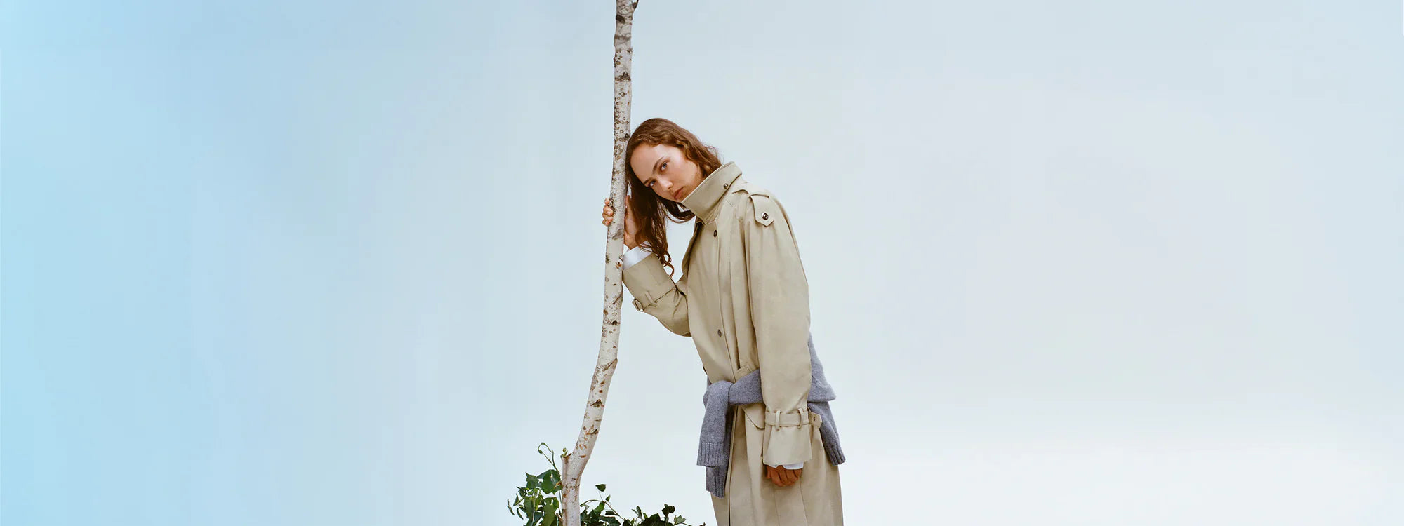 TWP Résidence New Arrivals