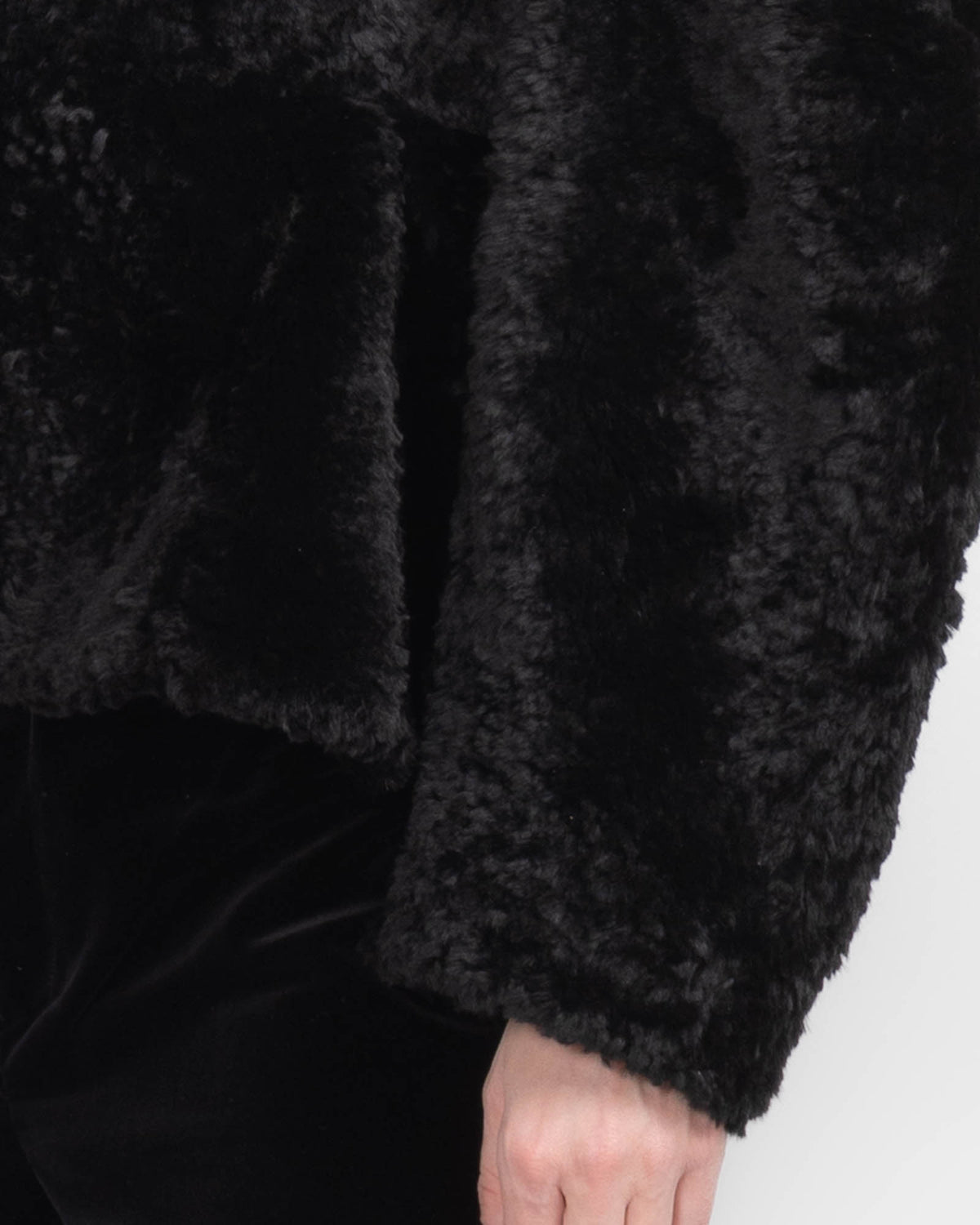 Collar Bear Jacket