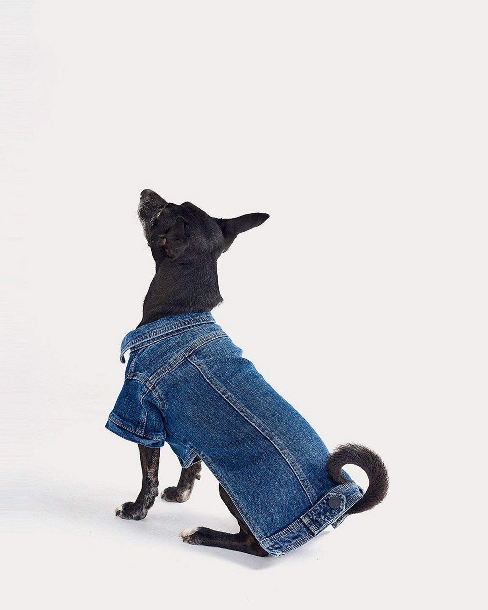 Fido Canine Denim Trucker Jacket