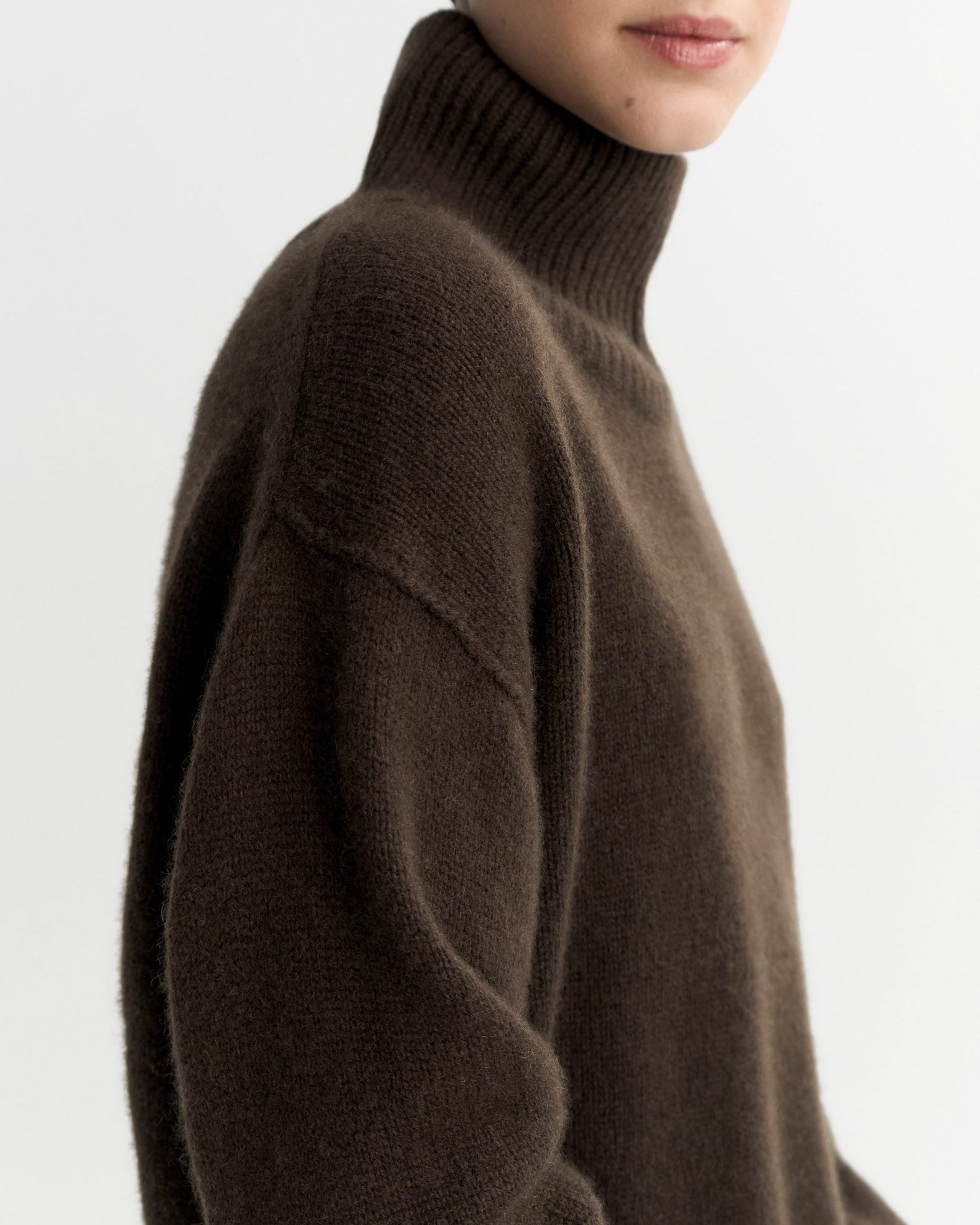 Boyfriend Turtleneck Sweater