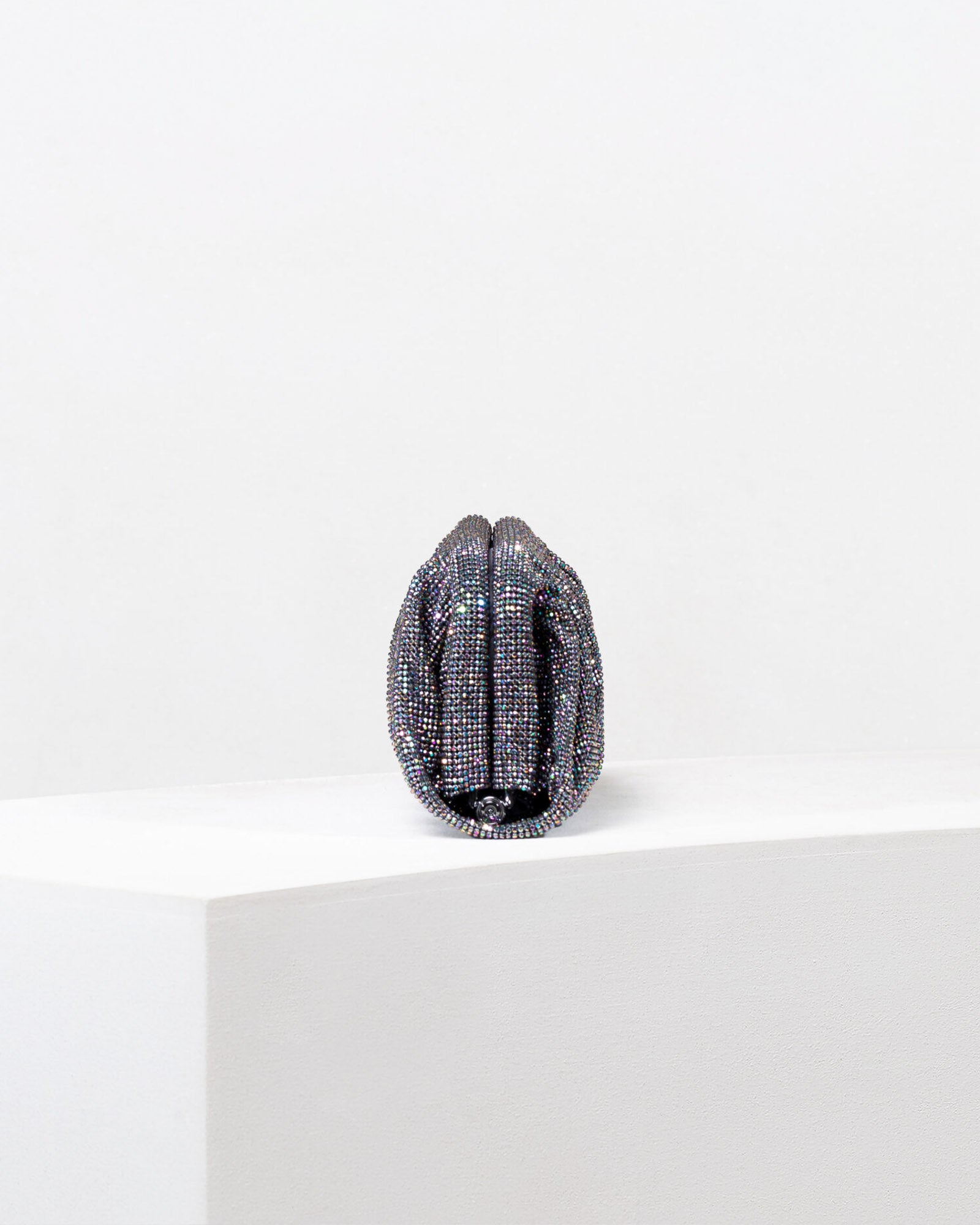 Venus Bag