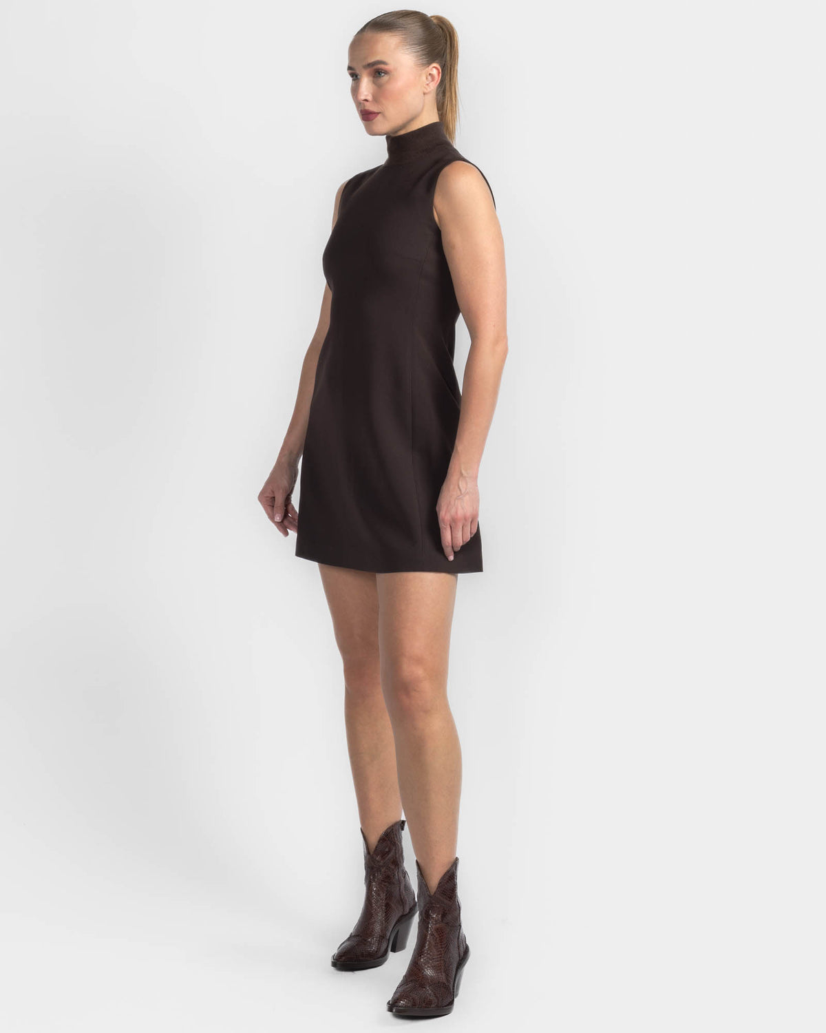 Turtleneck Dress