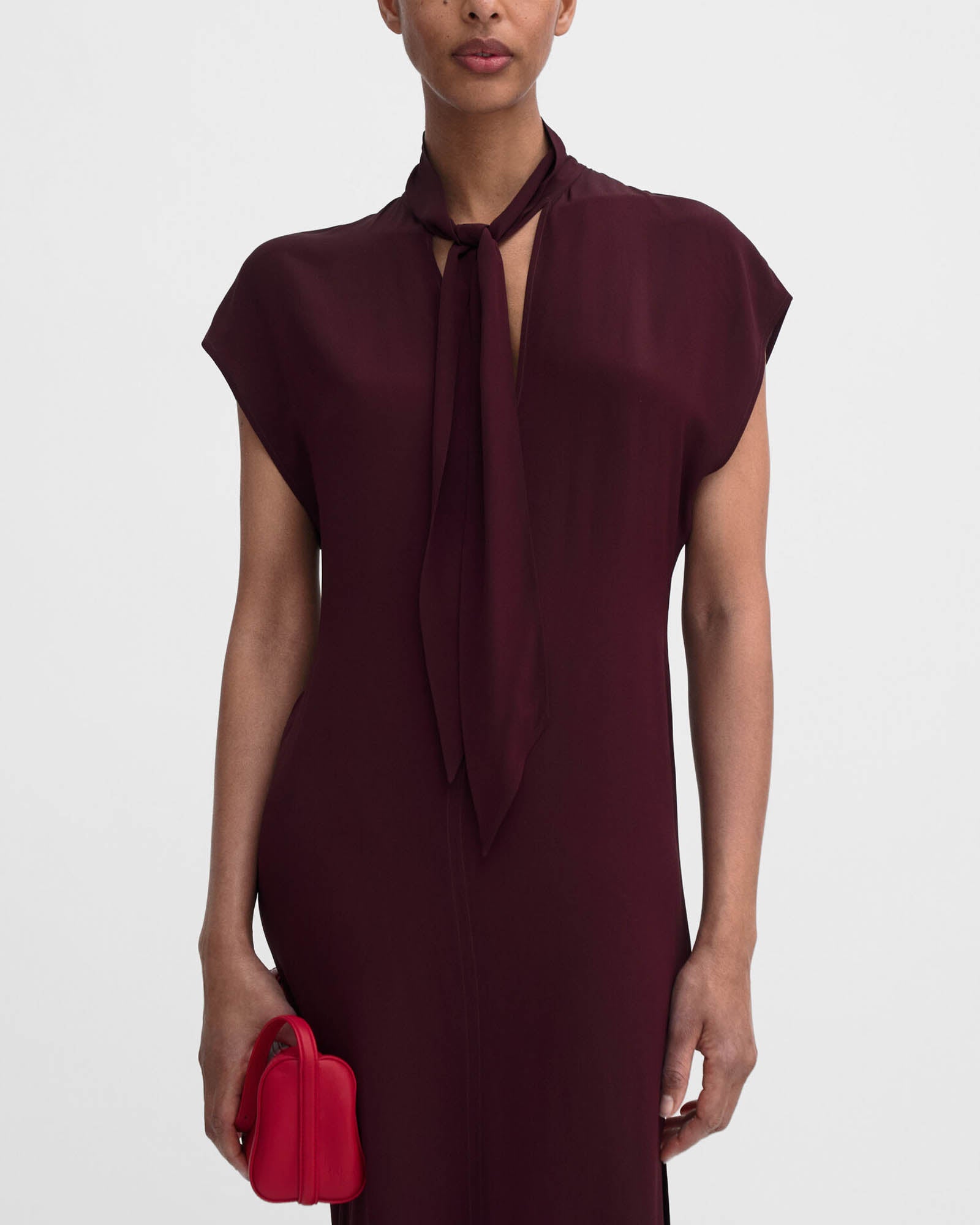 Tie Neck Dress