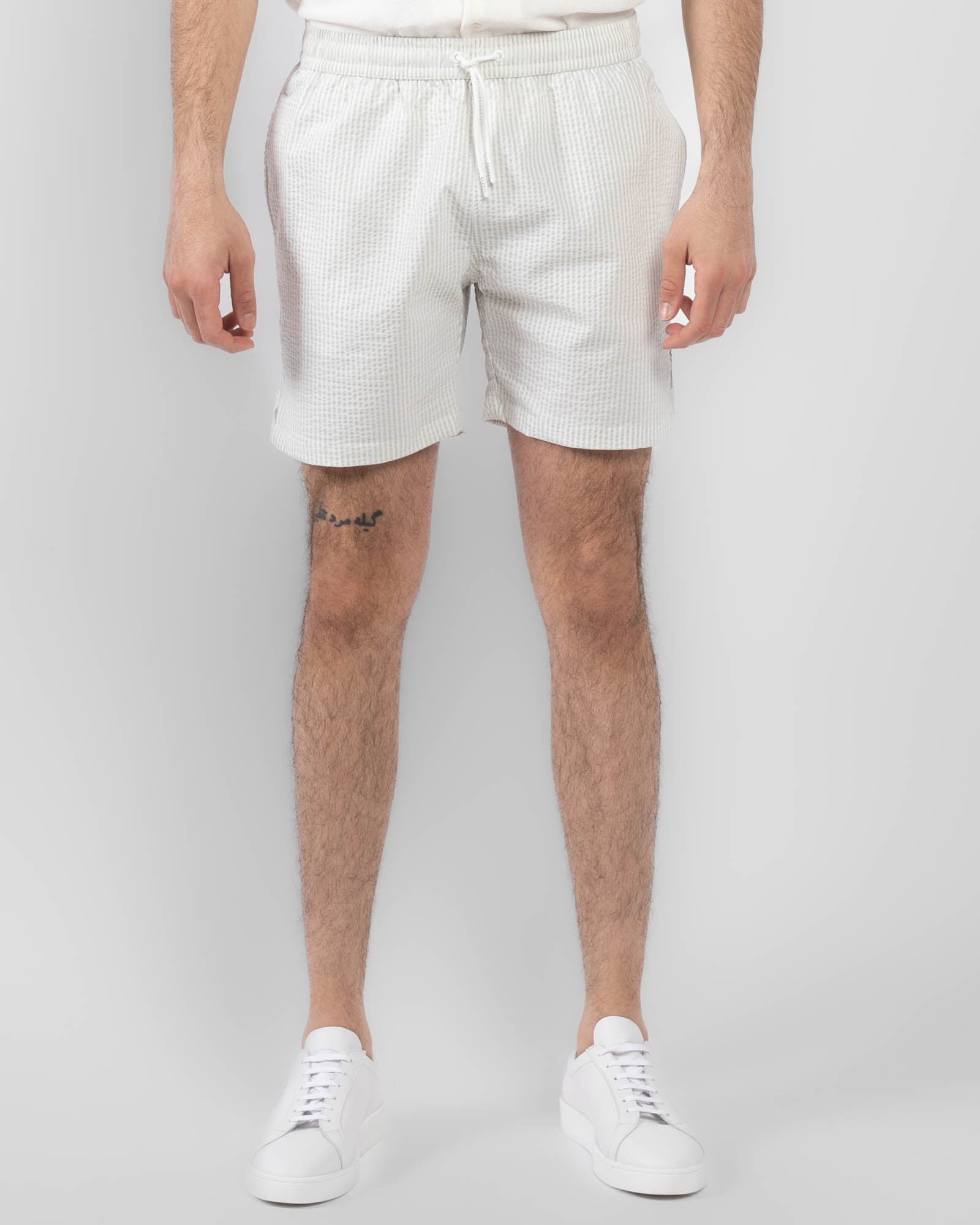Seersucker Swim Shorts