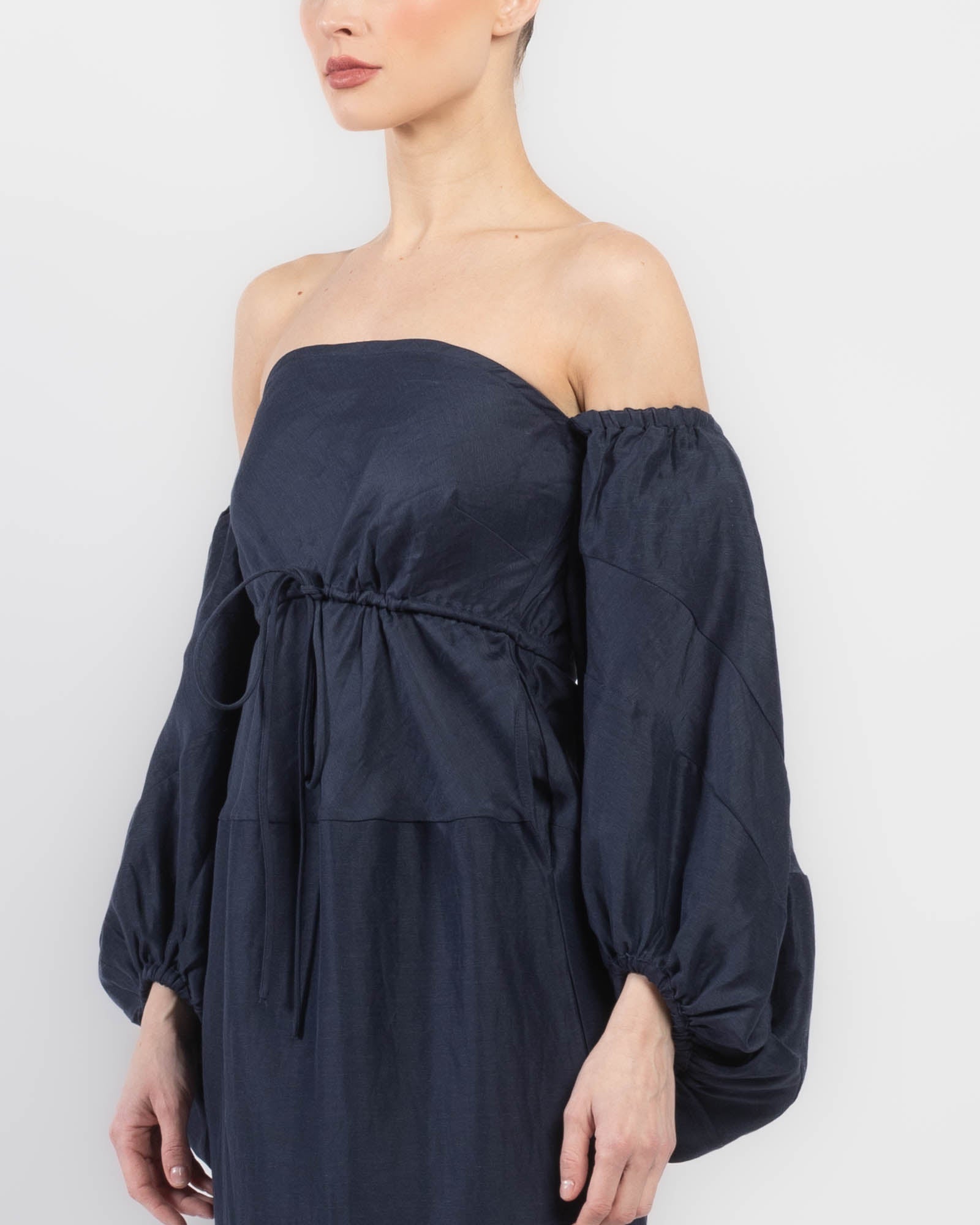 Balloon Sleeve Dress