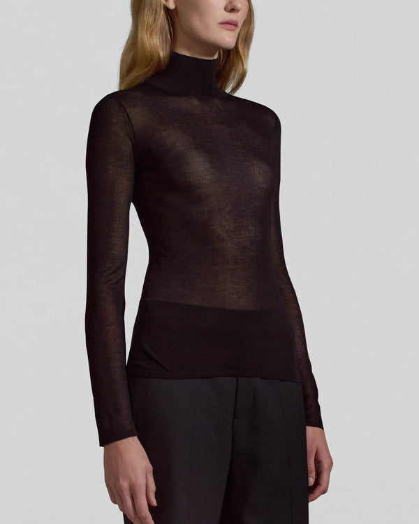 Sheer Turtleneck Sweater