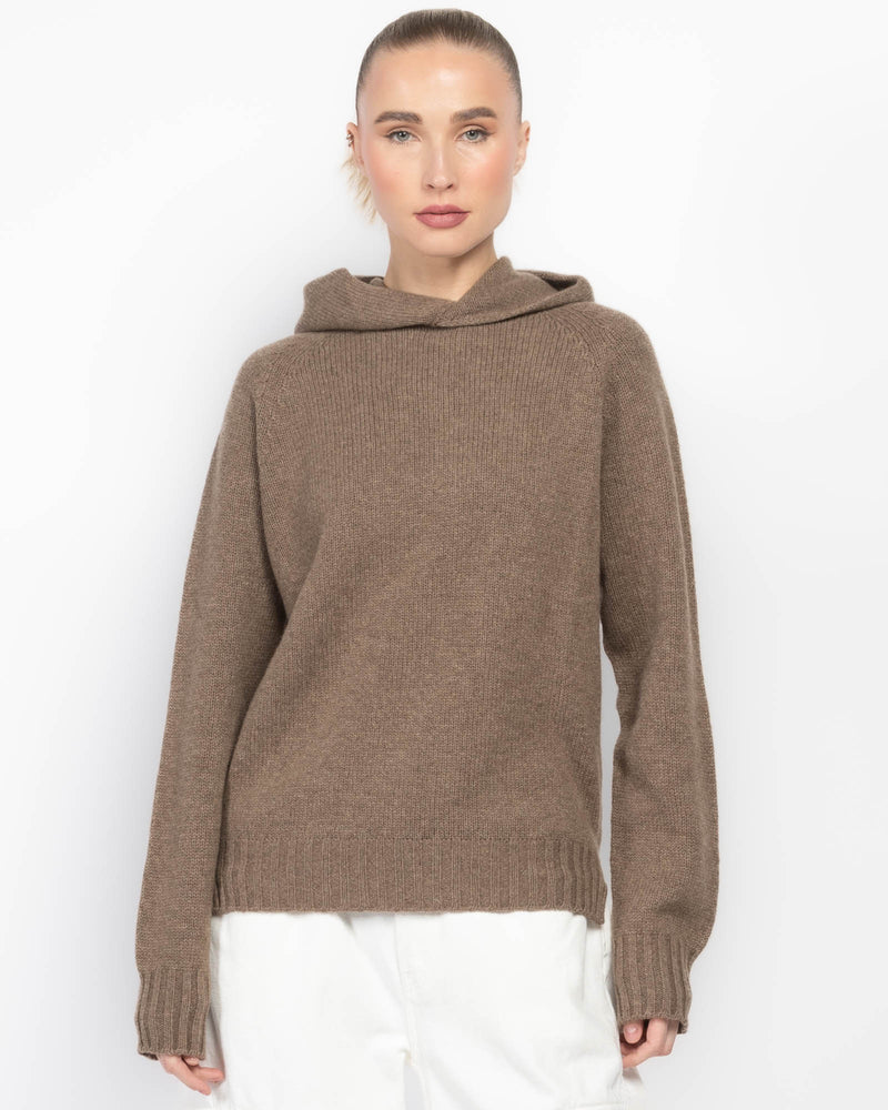 Hoodie Knit Sweater