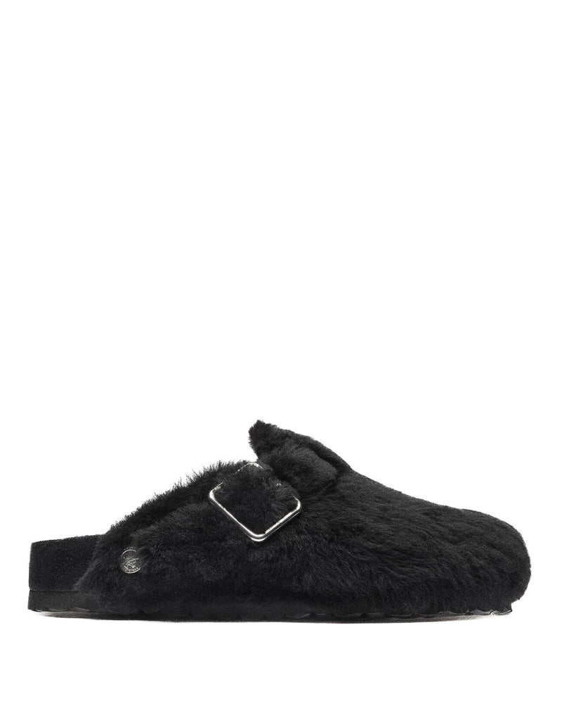 Boston Shearling