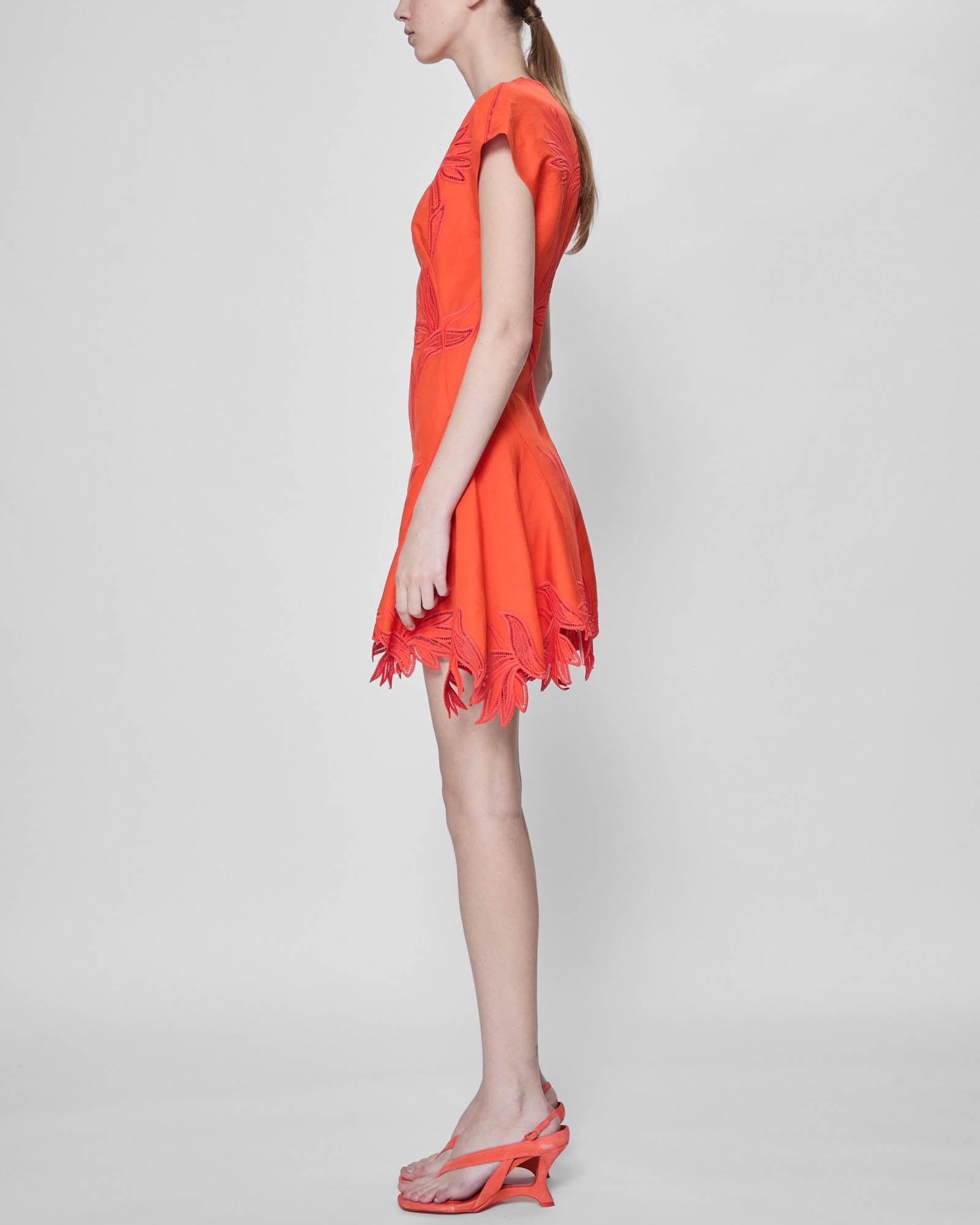Raquel Embroidered Dress