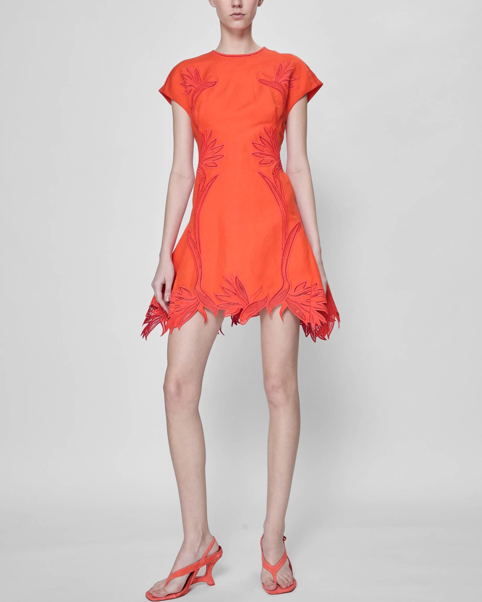 Raquel Embroidered Dress