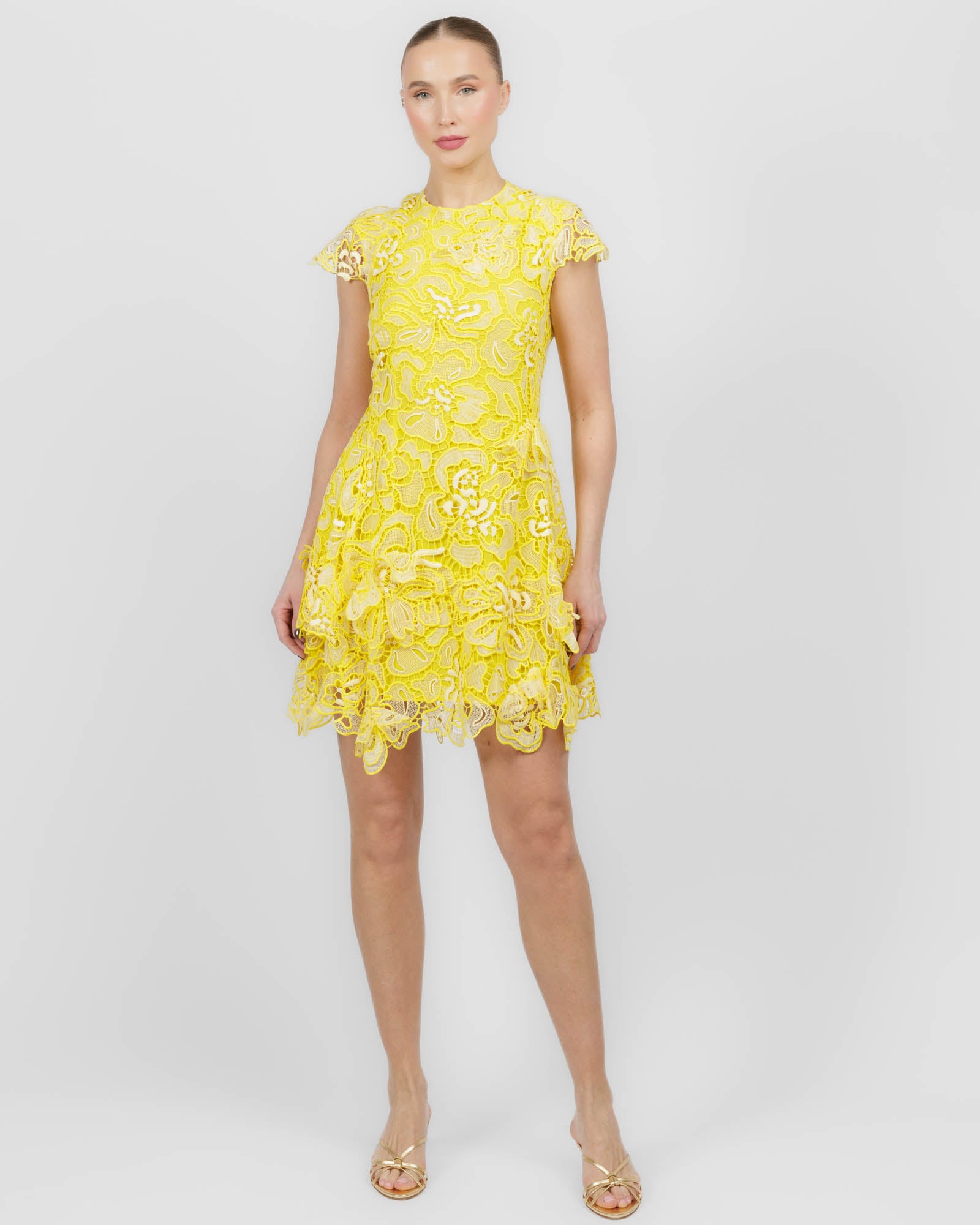 Novelle Lace Dress
