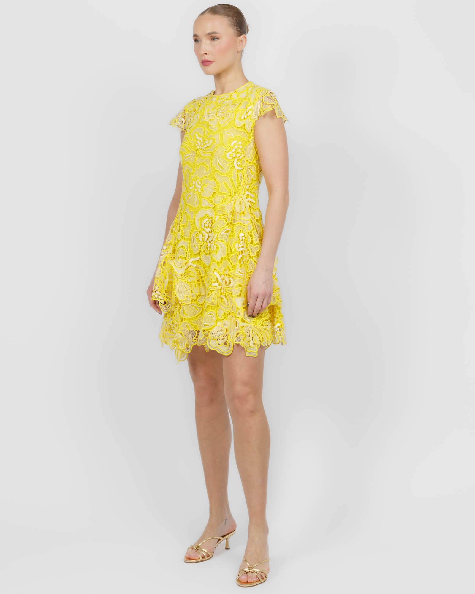 Novelle Lace Dress