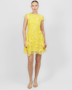 Novelle Lace Dress
