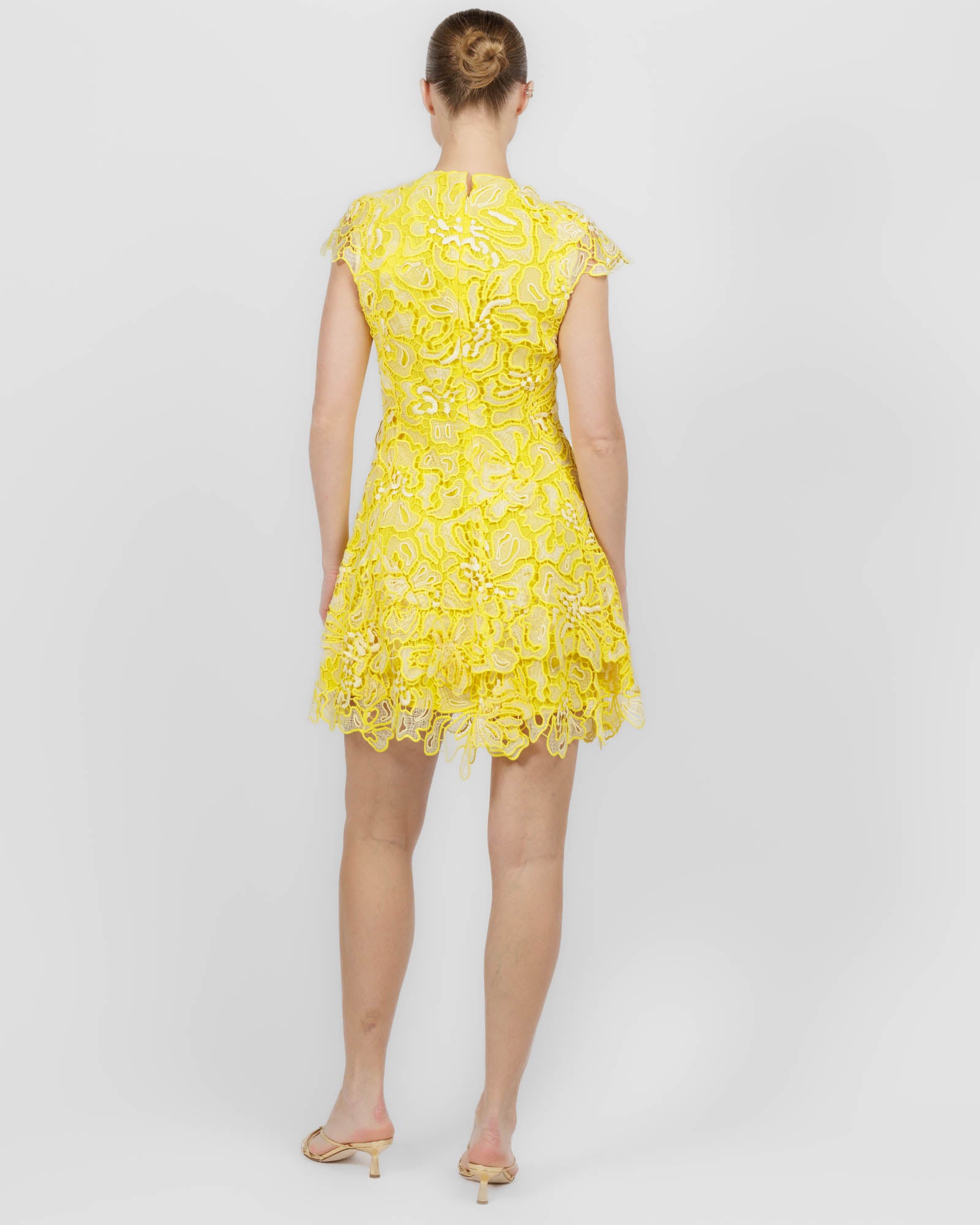 Novelle Lace Dress