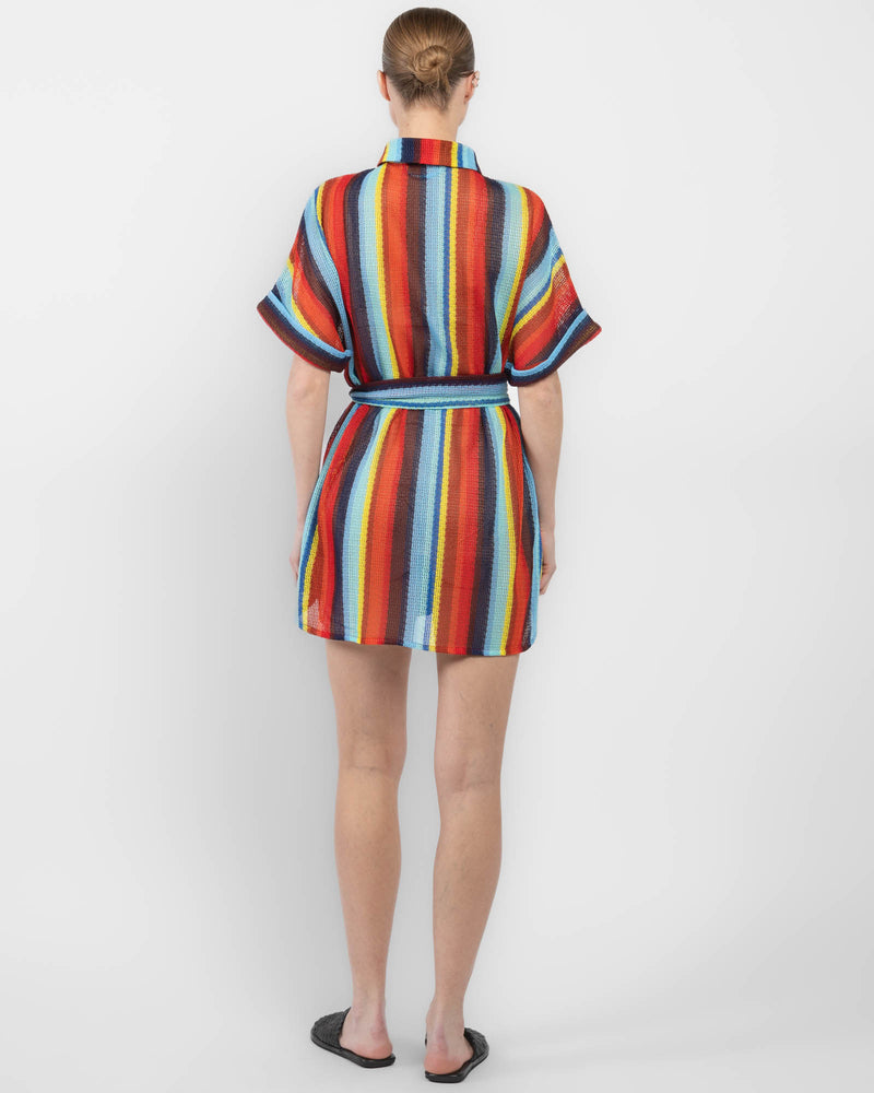 Robe Mini Dress
