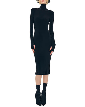 Long Sleeve Turtleneck Dress