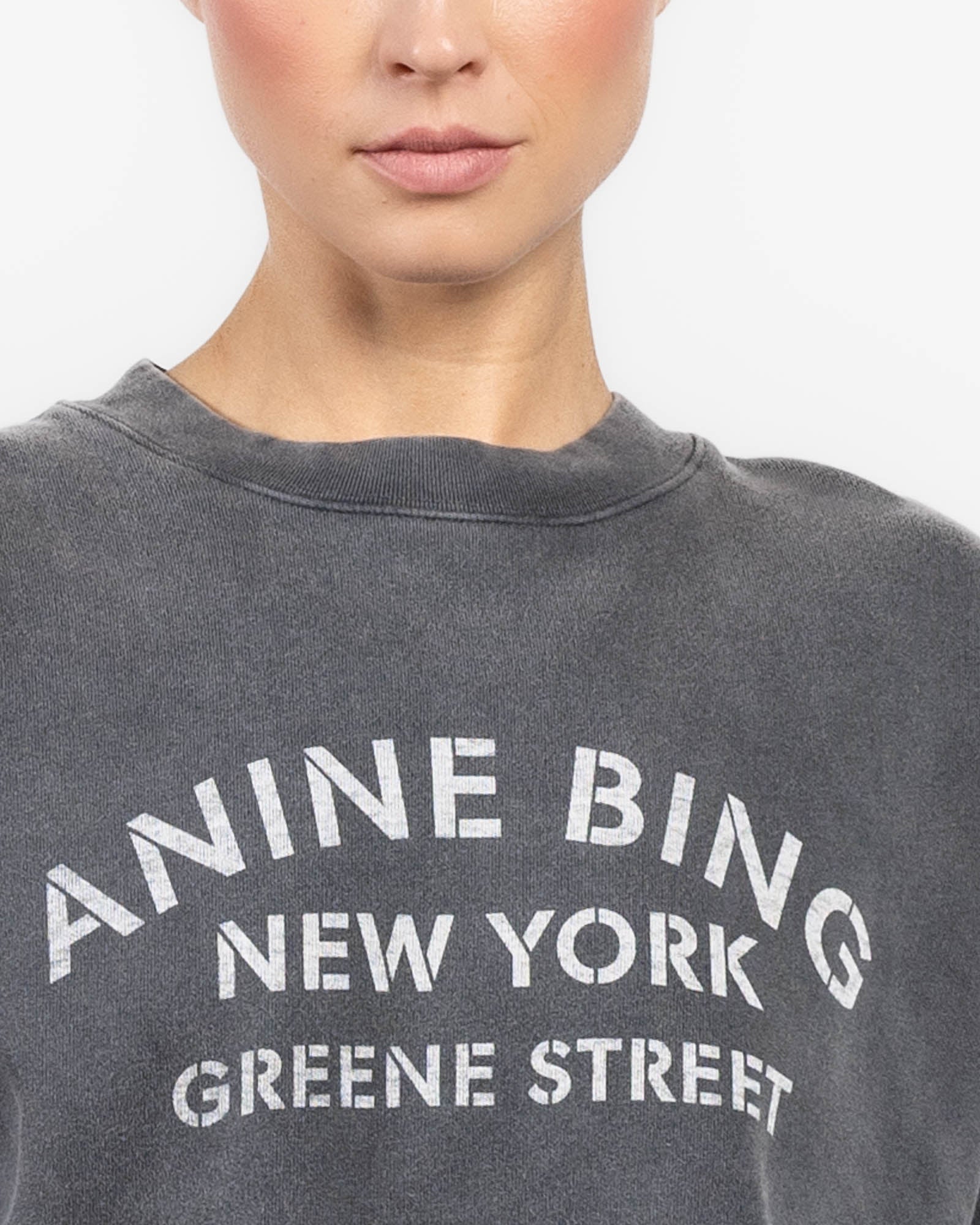ANINE BING Miles NY Sweatshirt