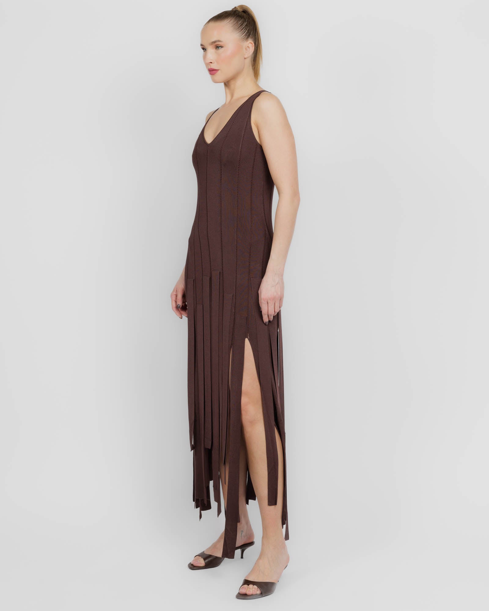 Luna Fringe Dress