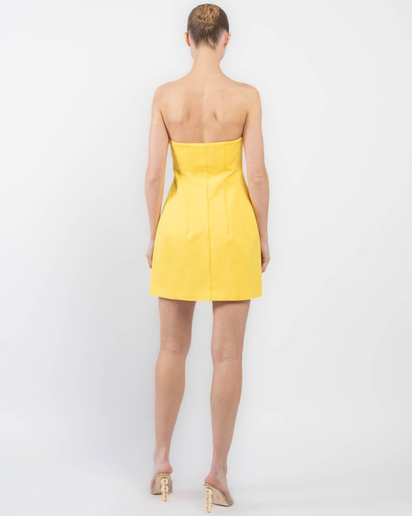 Arta Bustier Dress