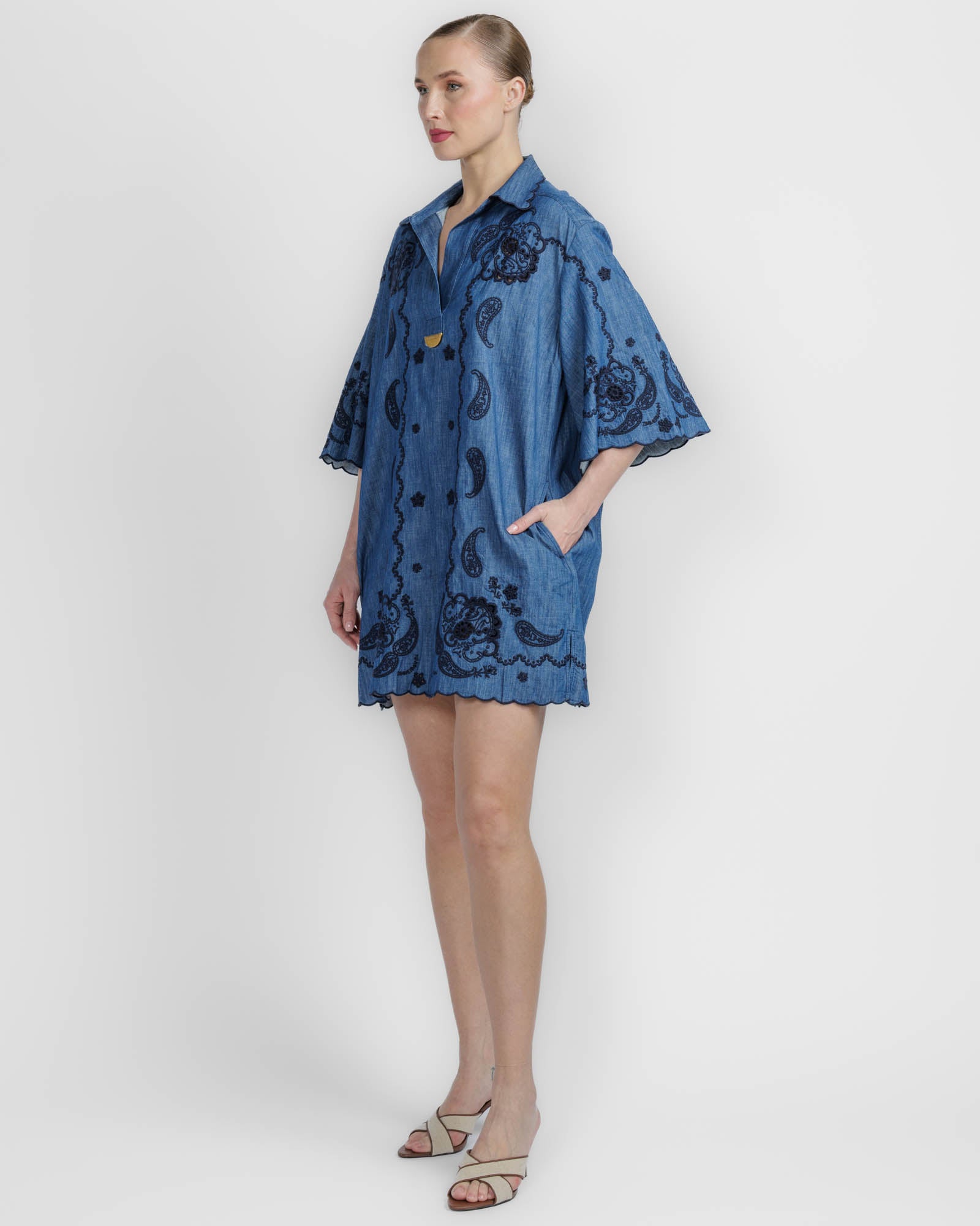 Aster Embroidered Dress