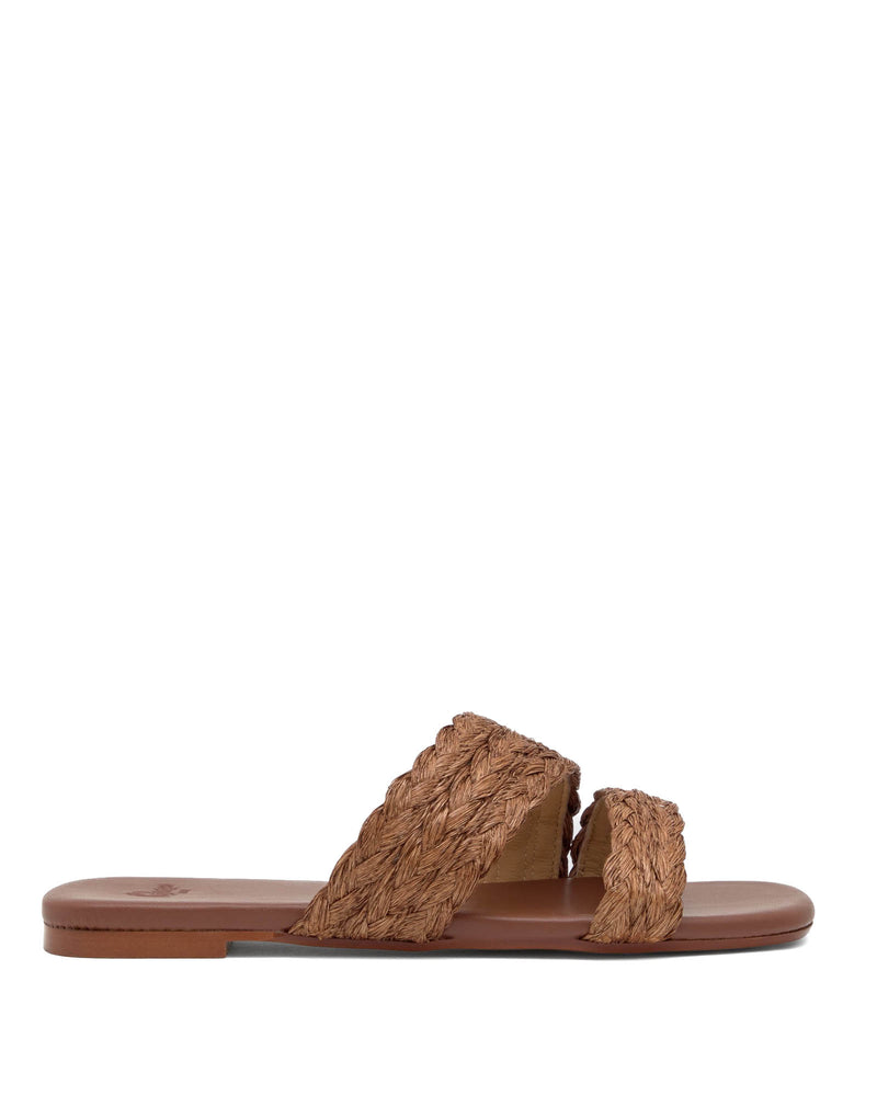 Paz Slides