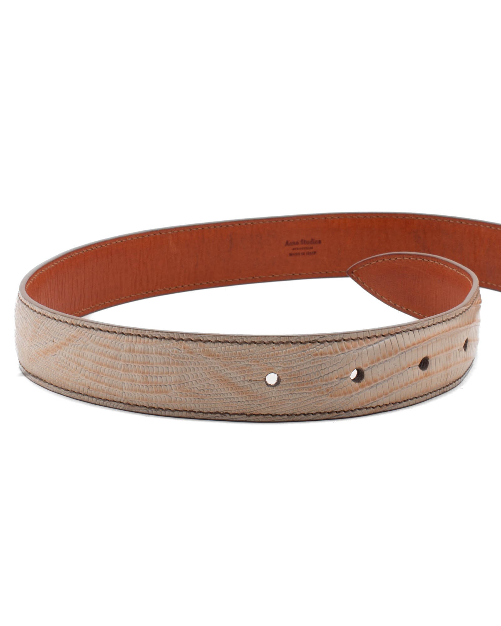 Anemone Belt