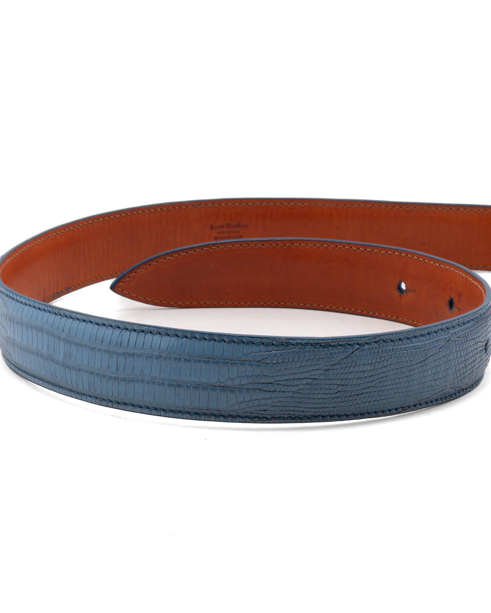 Anemone Belt