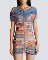 Sky Printed Tulle Dress