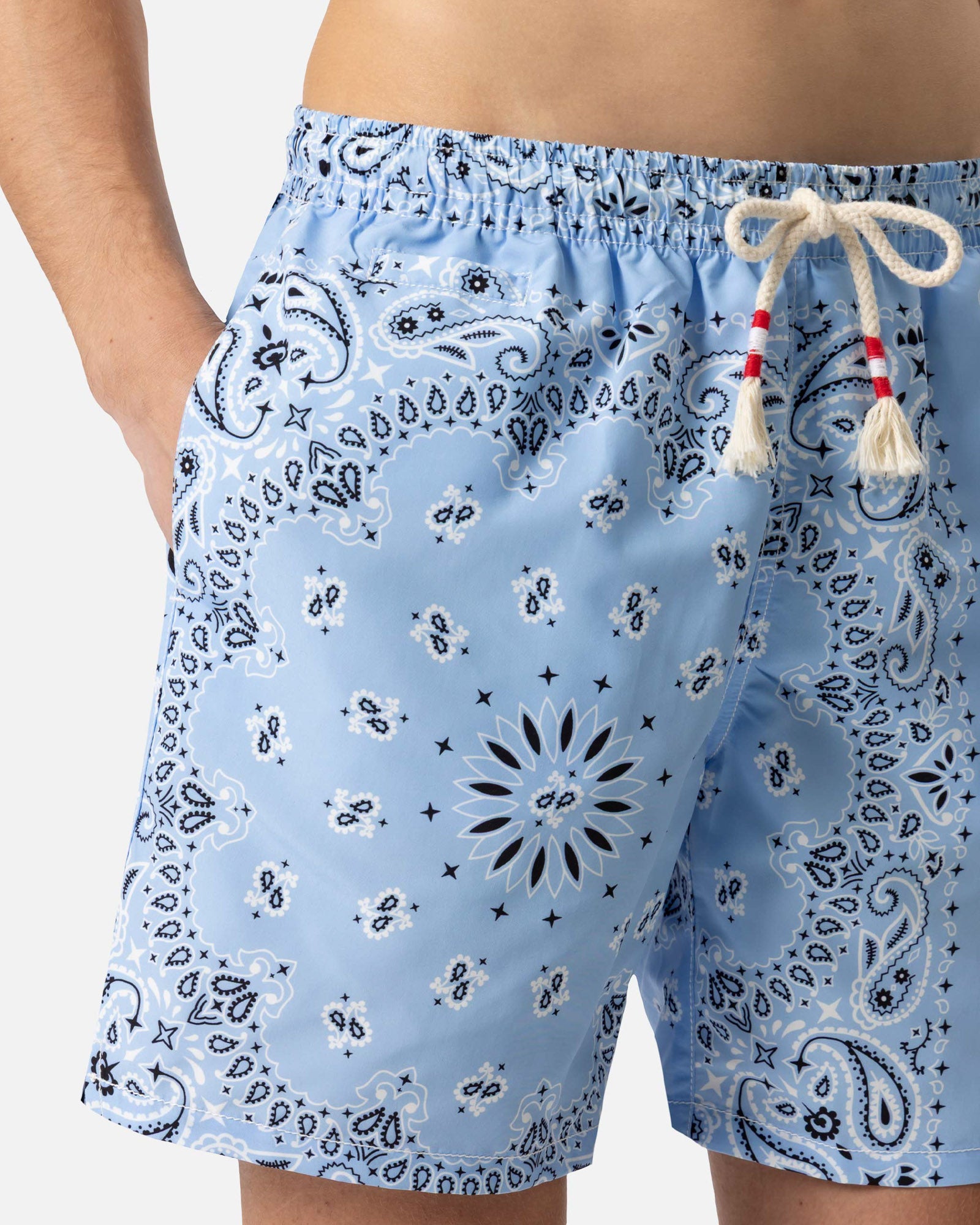 Caprese Swim Shorts