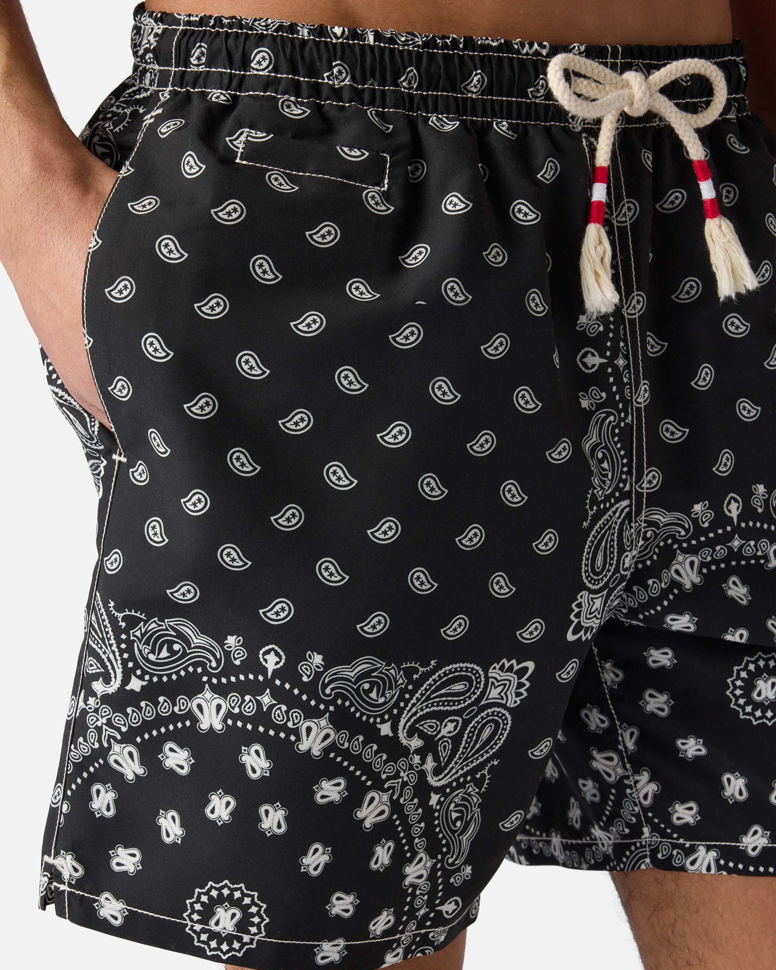 Caprese Swim Shorts