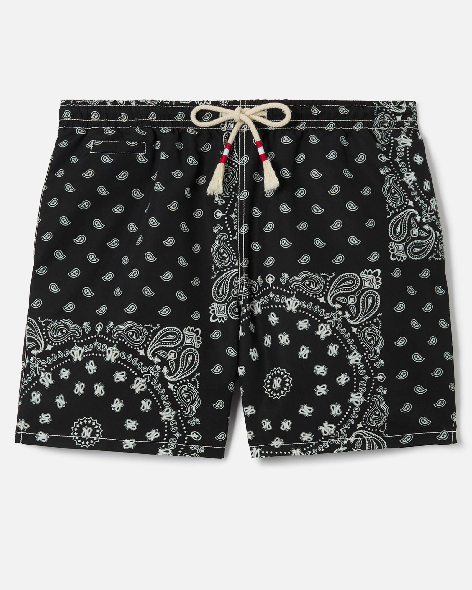Caprese Swim Shorts