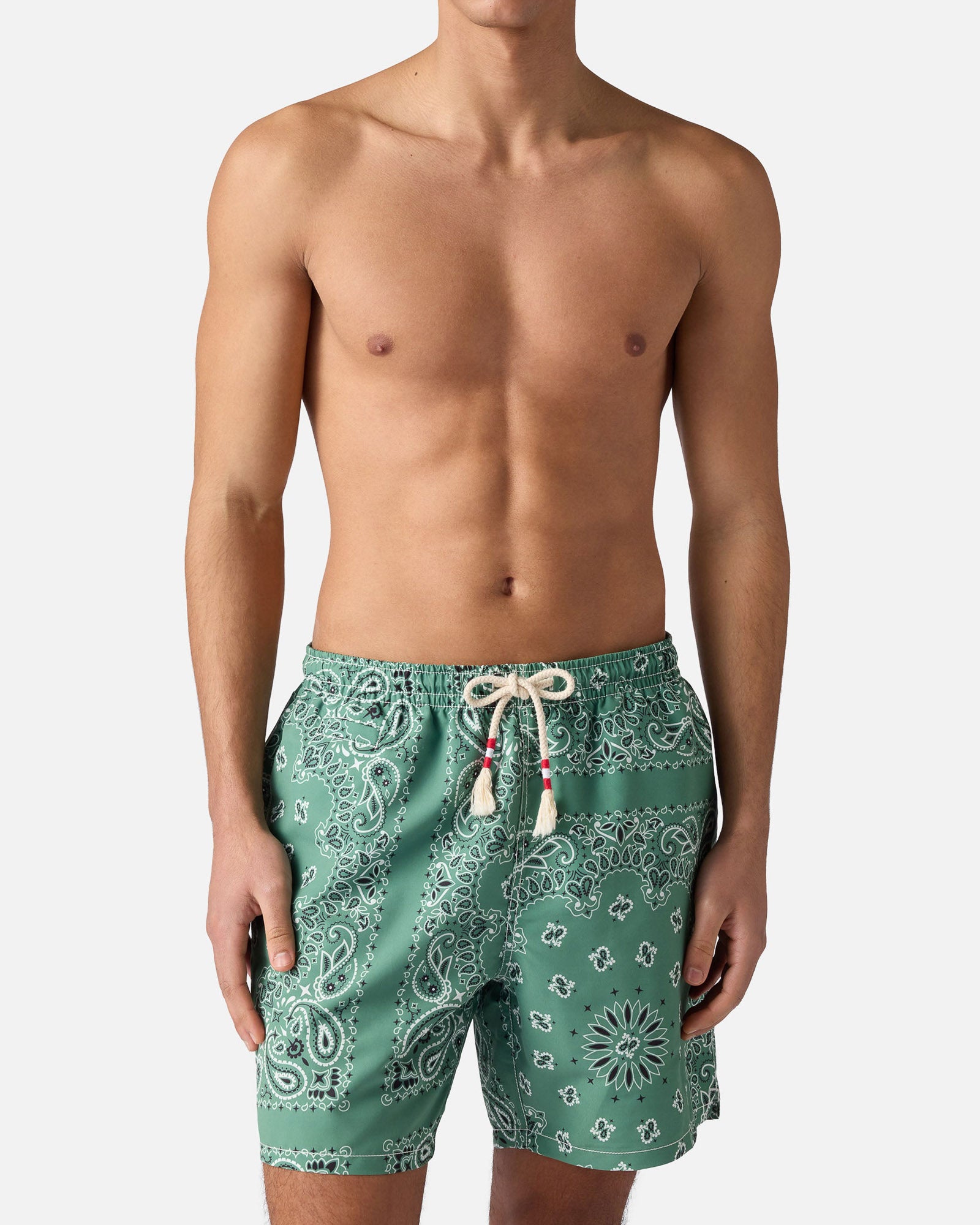 Caprese Swim Shorts