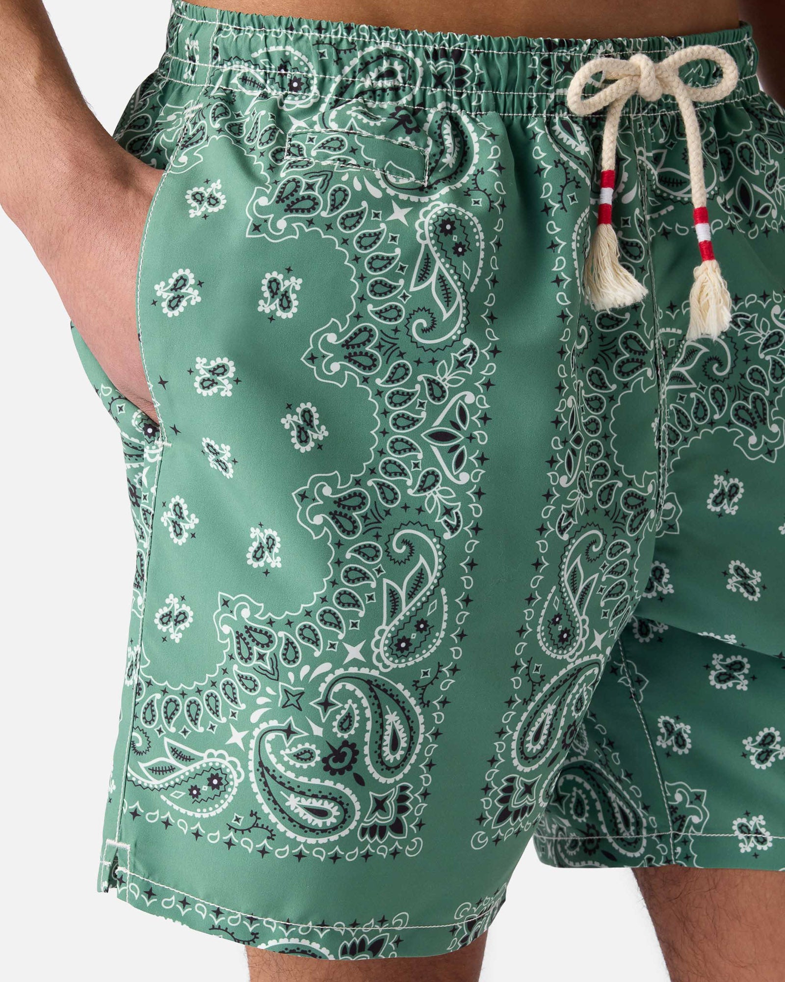 Caprese Swim Shorts