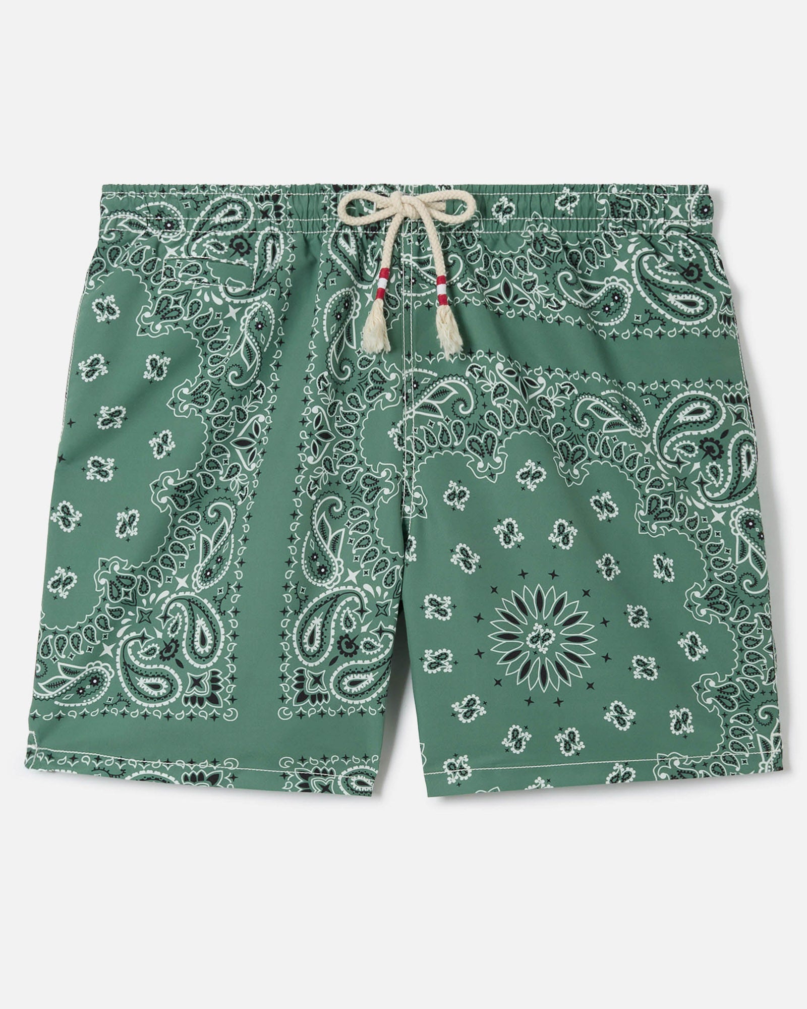 Caprese Swim Shorts