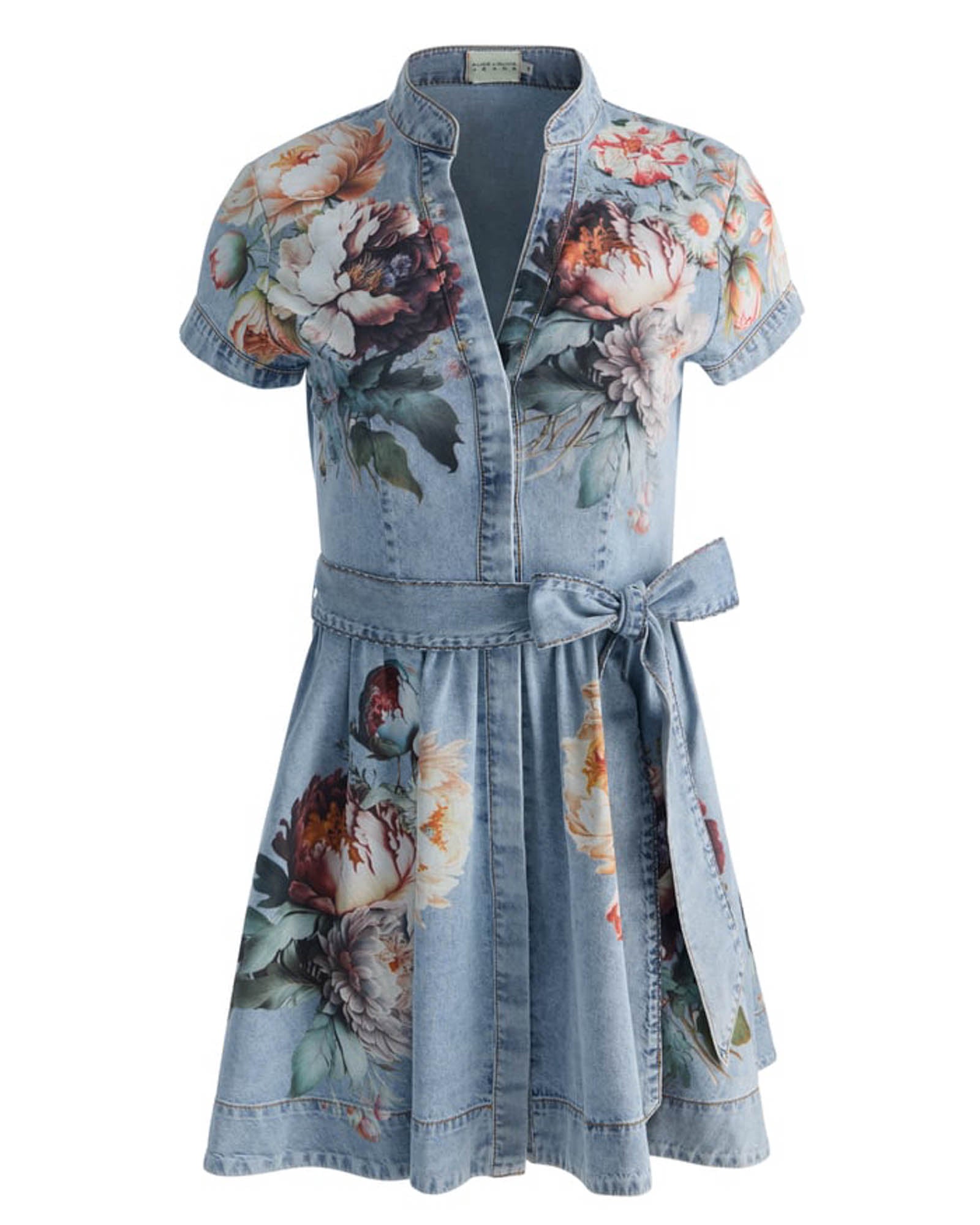 Lucy Mini Denim Dress