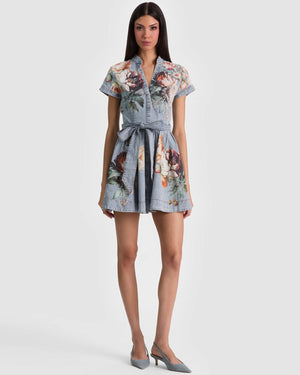 Lucy Mini Denim Dress
