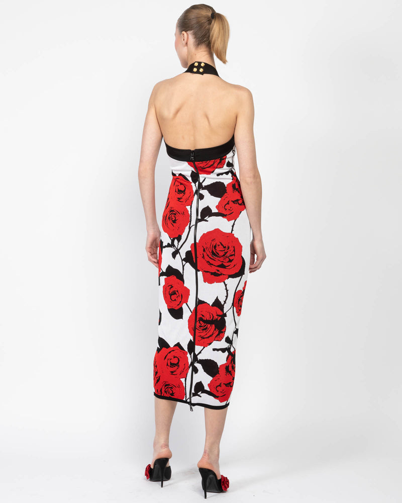 Halterneck Rose Print Dress