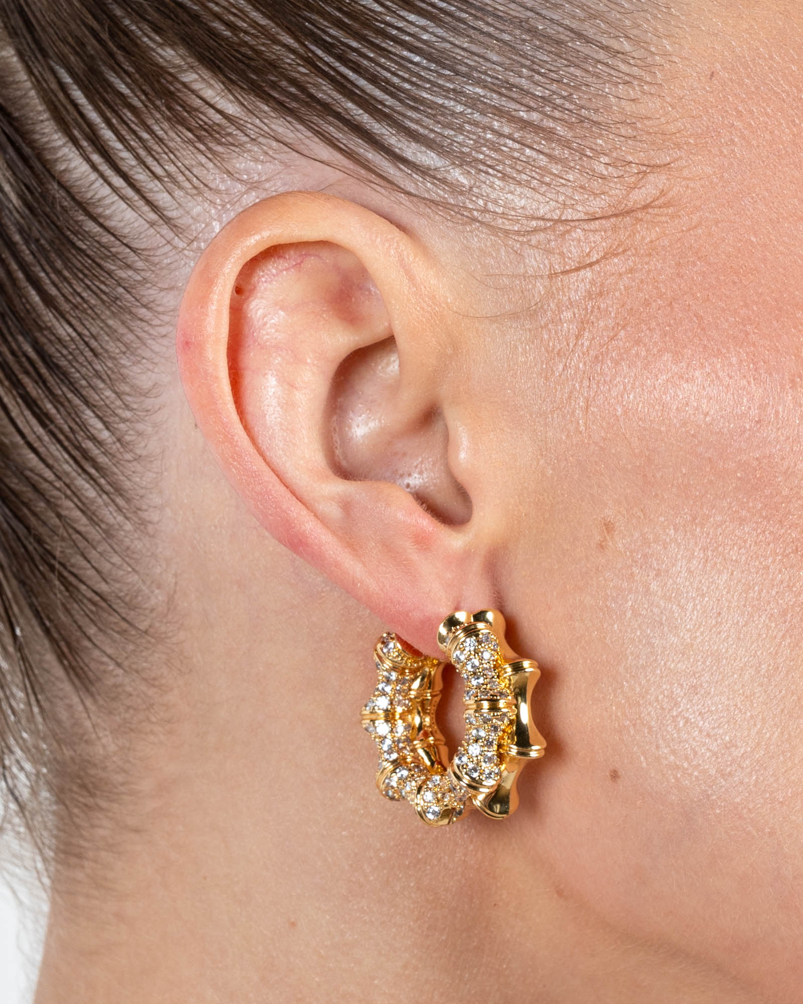 Pave Double Hoop Earrings