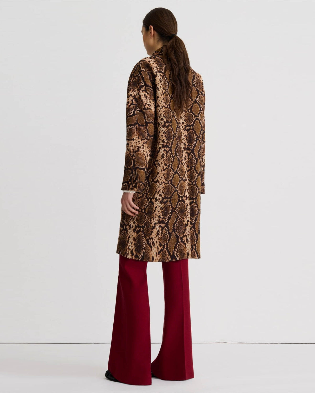 Clean Coat