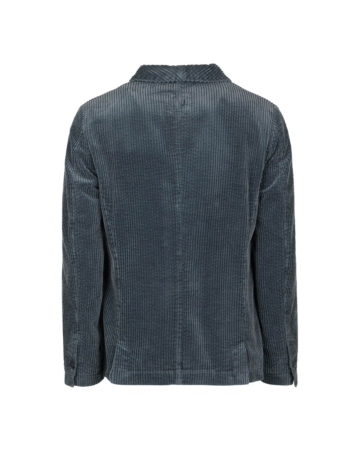 Sports Jacket