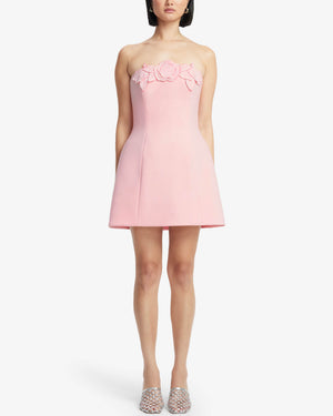 Roselle Mini Dress