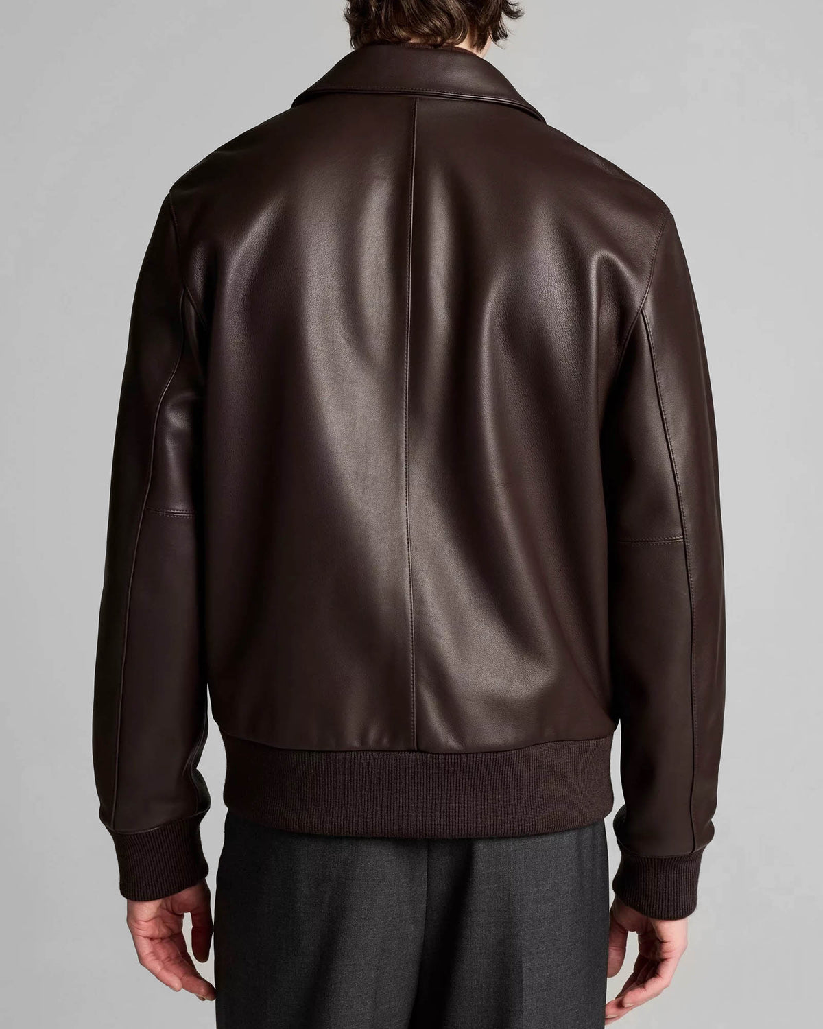 Aviator Bomber