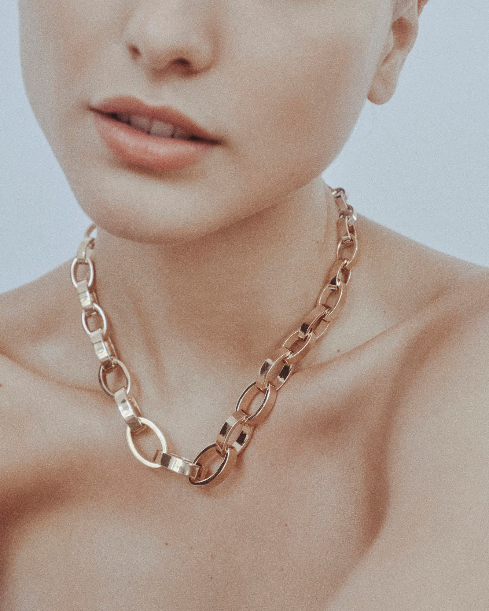 Graduated Ellipse Link Necklace