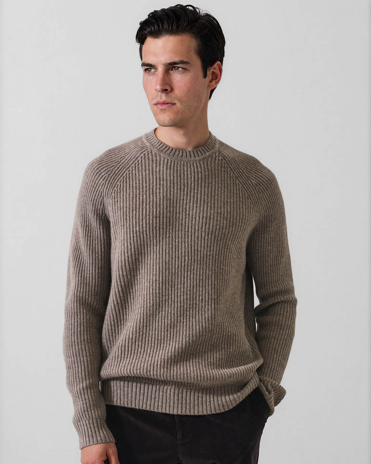 Rib Raglan Crewneck