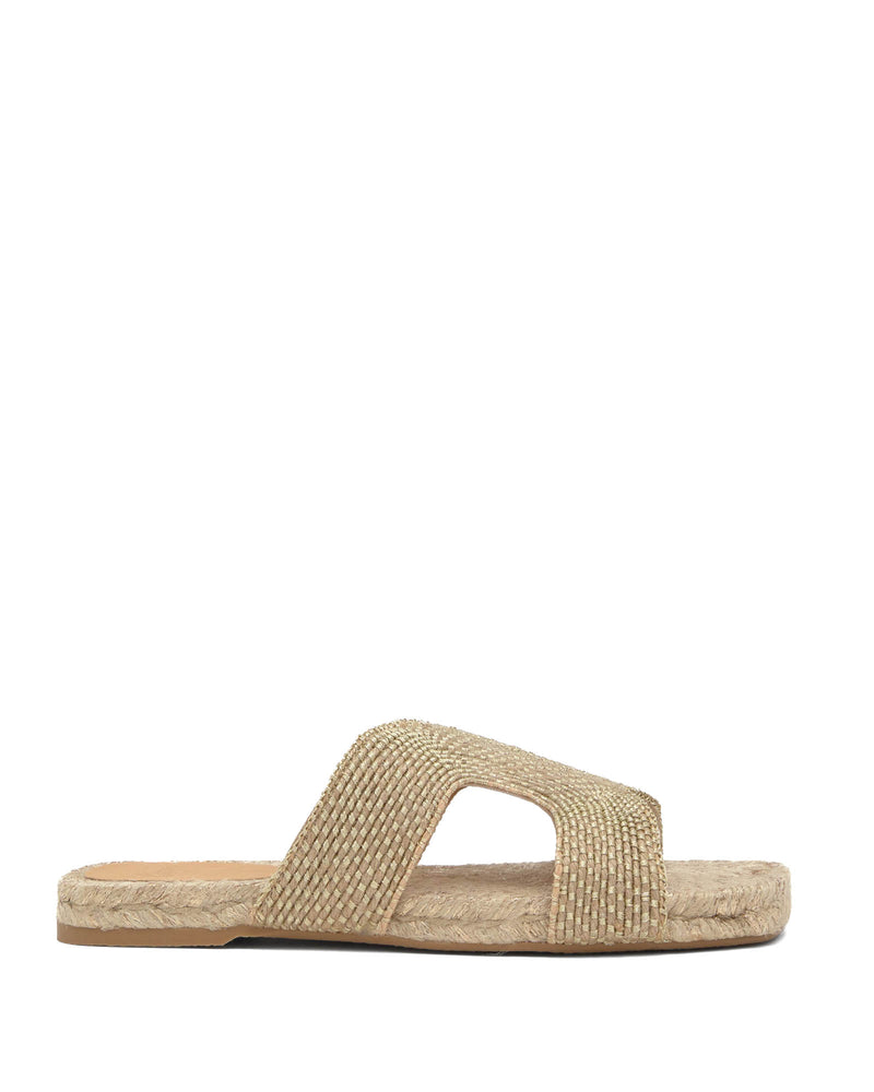 Puri Slides