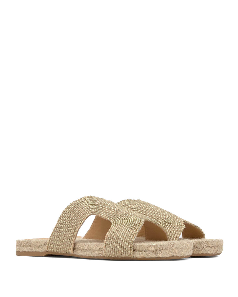 Puri Slides