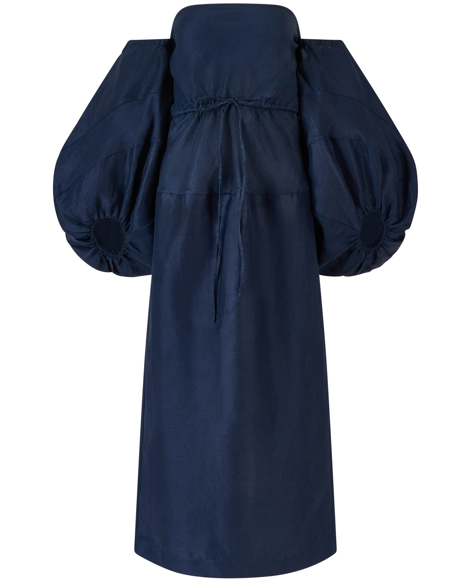 Balloon Sleeve Dress