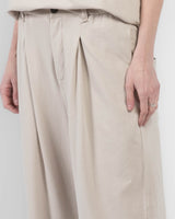 Pleated Pants