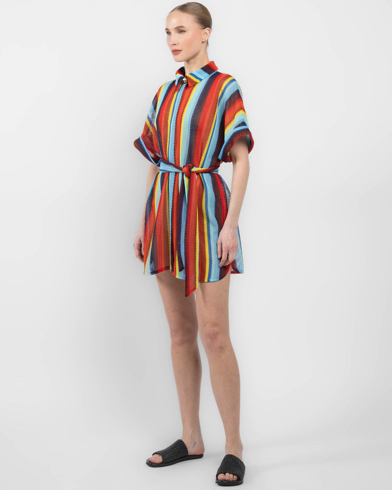 Robe Mini Dress