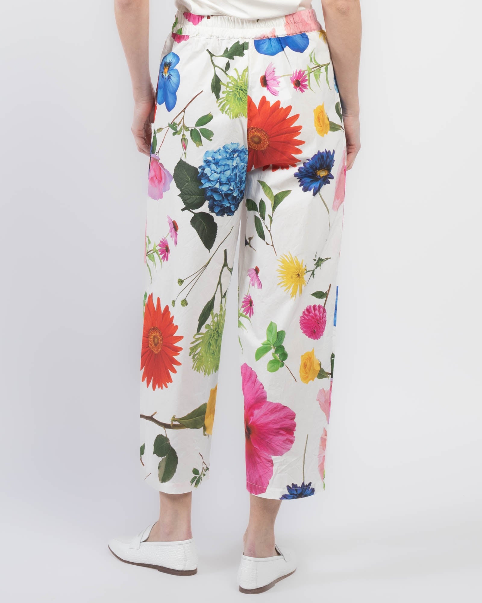 Printed Potamia Pants